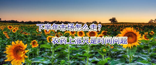 下半年市場怎么走？農藥上漲只是時間問題