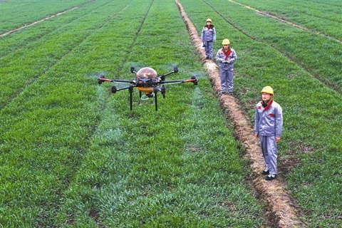 2019年這些農藥產品需求將上升